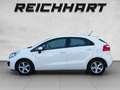 Kia Rio KIA Rio 1,4 CRDi Silber Weiß - thumbnail 2