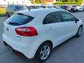 Kia Rio KIA Rio 1,4 CRDi Silber Weiß - thumbnail 17