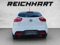 Kia Rio KIA Rio 1,4 CRDi Silber Weiß - thumbnail 5