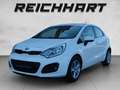 Kia Rio KIA Rio 1,4 CRDi Silber Weiß - thumbnail 1
