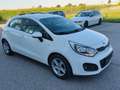 Kia Rio KIA Rio 1,4 CRDi Silber Weiß - thumbnail 18