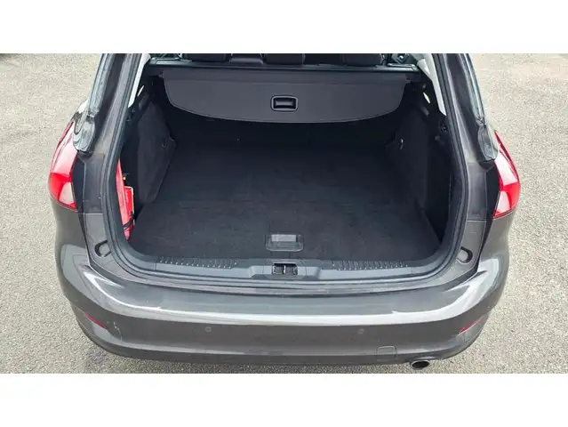 Ford Focus view 21