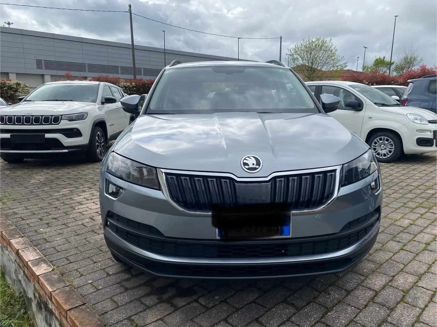 Skoda Karoq Karoq 1.0 tsi Executive 115cv Gris - 1