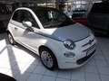 Fiat 500 Dolcevita 1.0 Hybrid + Bicolor Weiß - thumbnail 3
