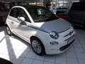 Fiat 500 Dolcevita 1.0 Hybrid + Bicolor Weiß - thumbnail 3