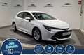Toyota Corolla 125H Business Plus Bianco - thumbnail 1