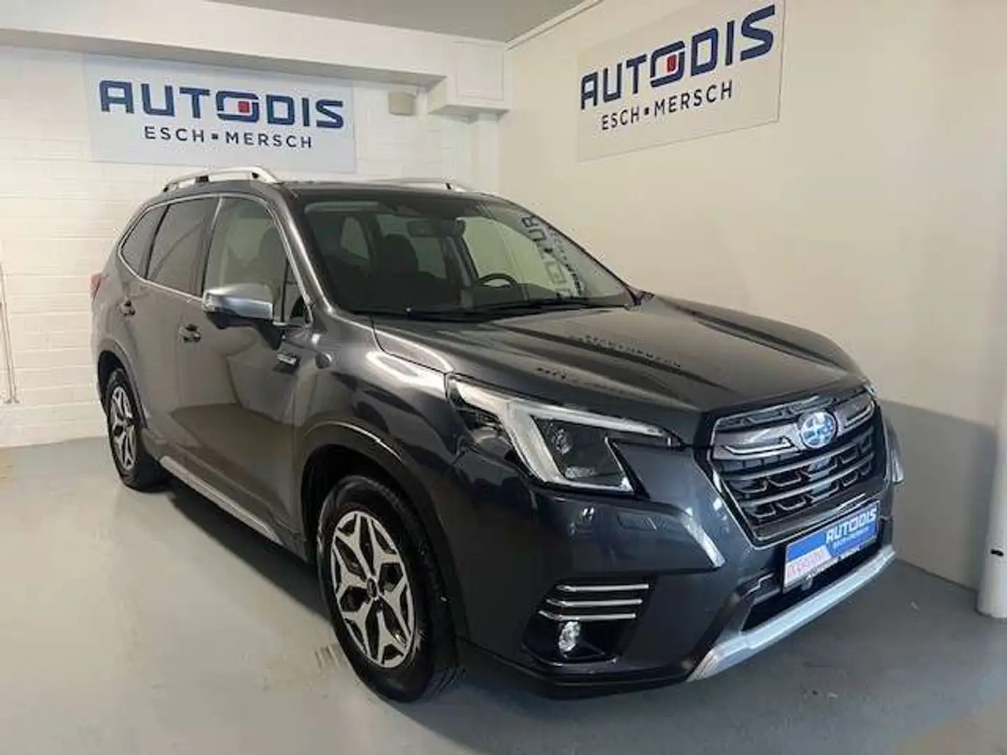 Subaru Forester 2.0 E-BOXER LUXURY 4X4 AUT Szary - 1