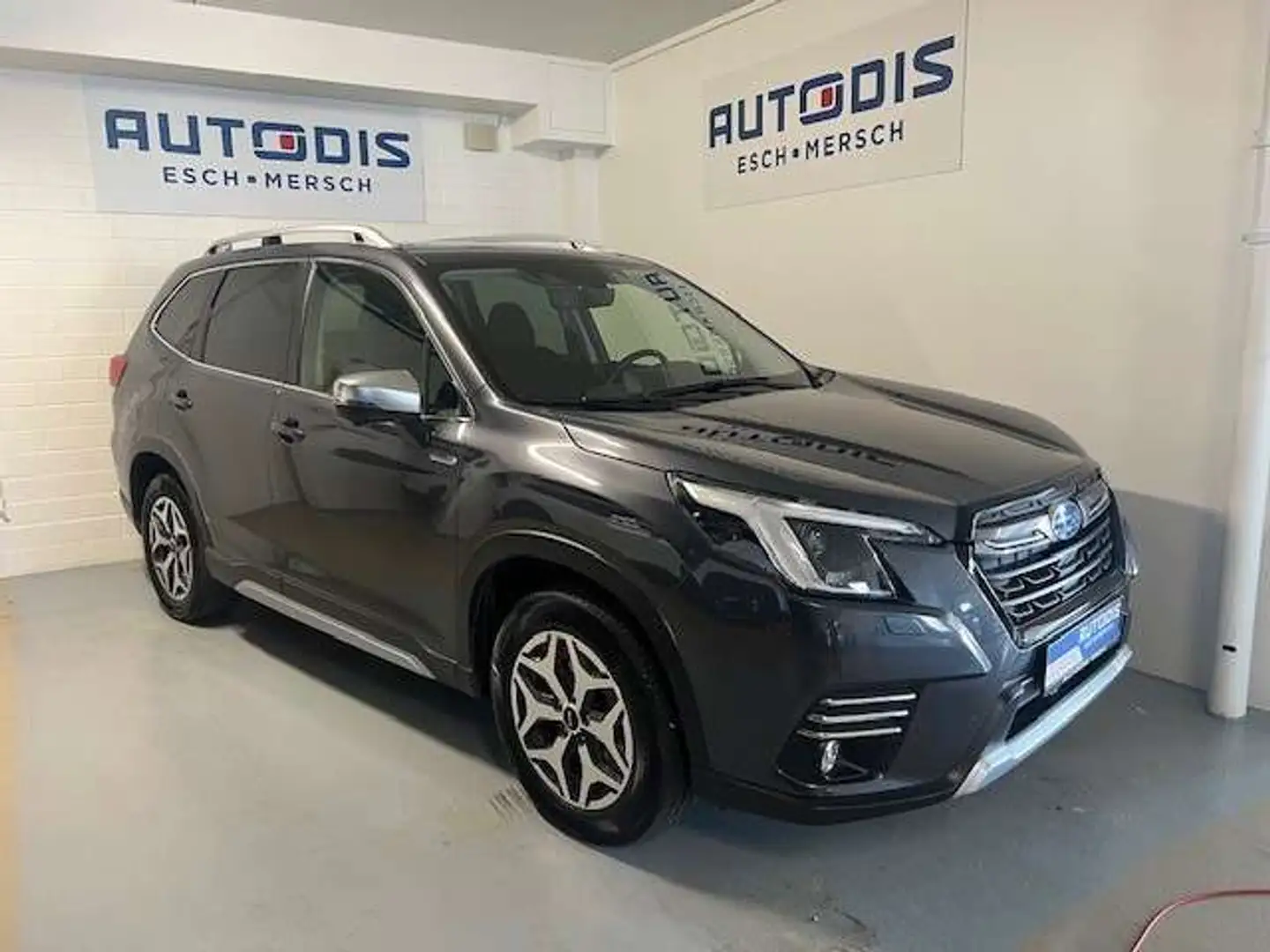 Subaru Forester 2.0 E-BOXER LUXURY 4X4 AUT Szary - 2