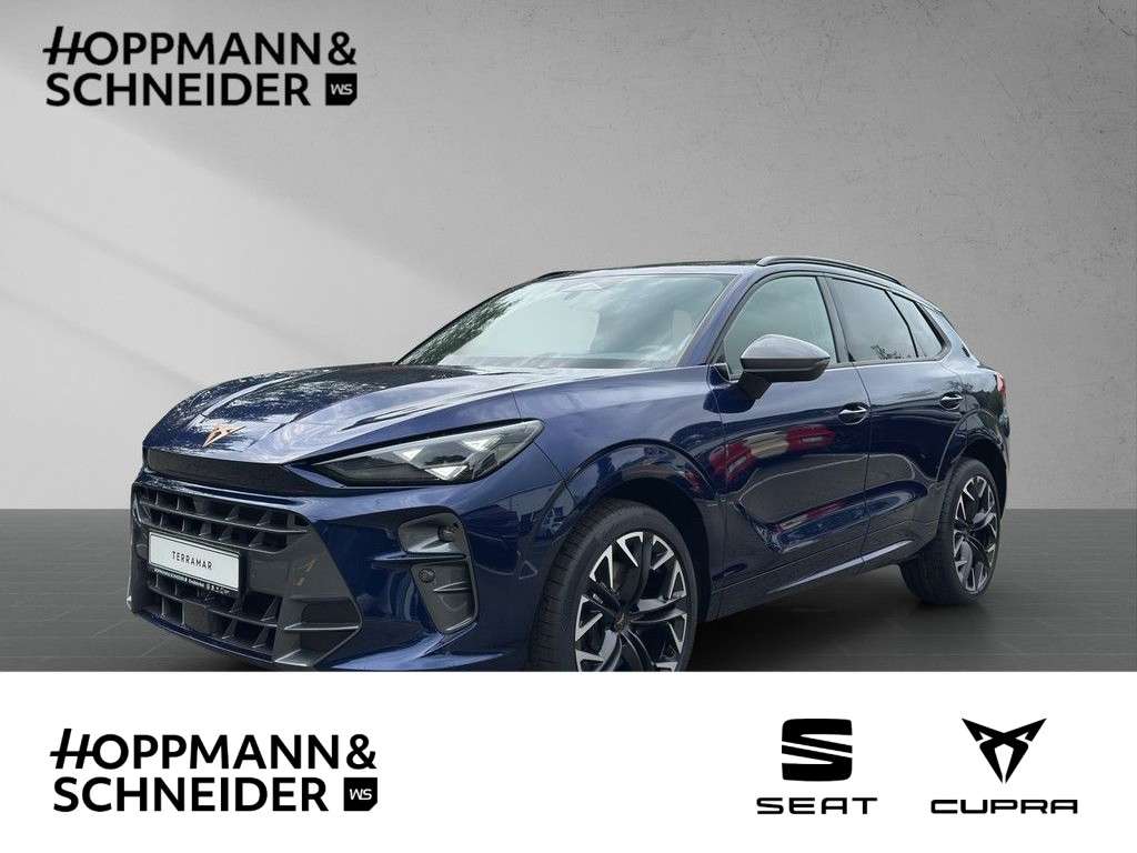 Second hand Cupra Terramar 2.0