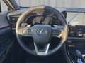Lexus NX 450h+ Plug-In Hybrid Sondermodell Overtrail 309 PS Braun - thumbnail 10