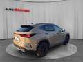 Lexus NX 450h+ Plug-In Hybrid Sondermodell Overtrail 309 PS Braun - thumbnail 6