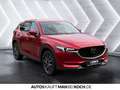 Mazda CX-5 SKYACTIV-D 175 AWD SportsLine CAM BOSE BLIS Rouge - thumbnail 6