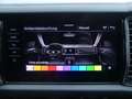 Skoda Kodiaq 2.0 TDI Tour Ambition MATRIX/KAM/STHZ/AHK Noir - thumbnail 6
