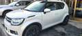 Suzuki Ignis 1.2 dualjet iAdventure 4wd allgrip - thumbnail 1