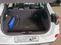 Ford Puma 1.0 EcoBoost Mild Hybrid Titanium S/S (EURO Weiß - thumbnail 17