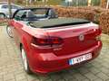 Volkswagen Golf Cabriolet Golf Cabrio 1.4 TSI Cup Rouge - thumbnail 5