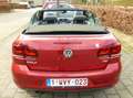 Volkswagen Golf Cabriolet Golf Cabrio 1.4 TSI Cup Rouge - thumbnail 25