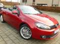 Volkswagen Golf Cabriolet Golf Cabrio 1.4 TSI Cup Rouge - thumbnail 7