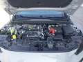 Renault Clio NEUER CLIO Techno TCe 115 Grau - thumbnail 20
