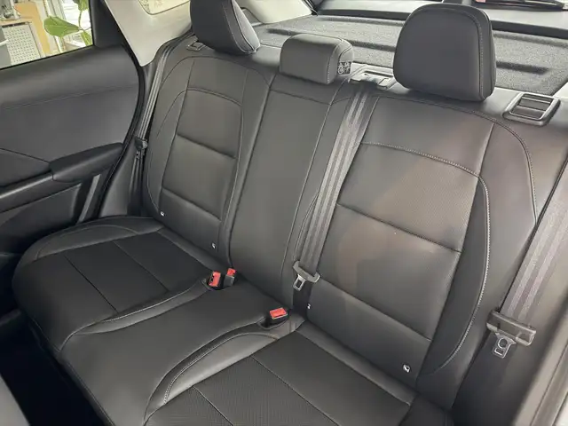 MG ZS view 14