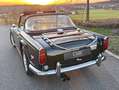 Triumph TR5 TR250 Grün - thumbnail 13