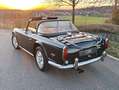 Triumph TR5 TR250 Grün - thumbnail 12