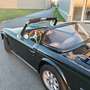 Triumph TR5 TR250 Grün - thumbnail 14