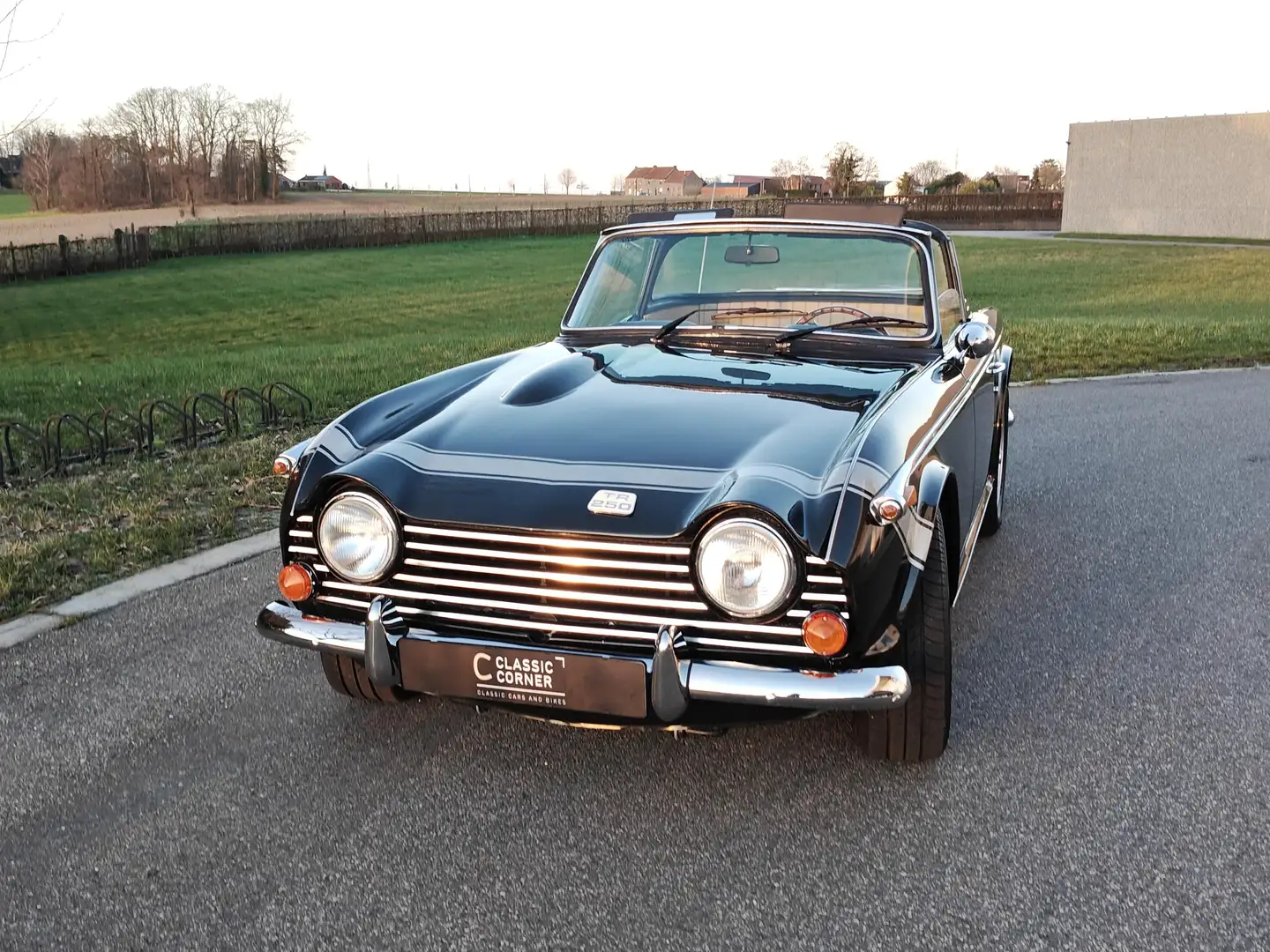 Triumph TR5 TR250 Grün - 2