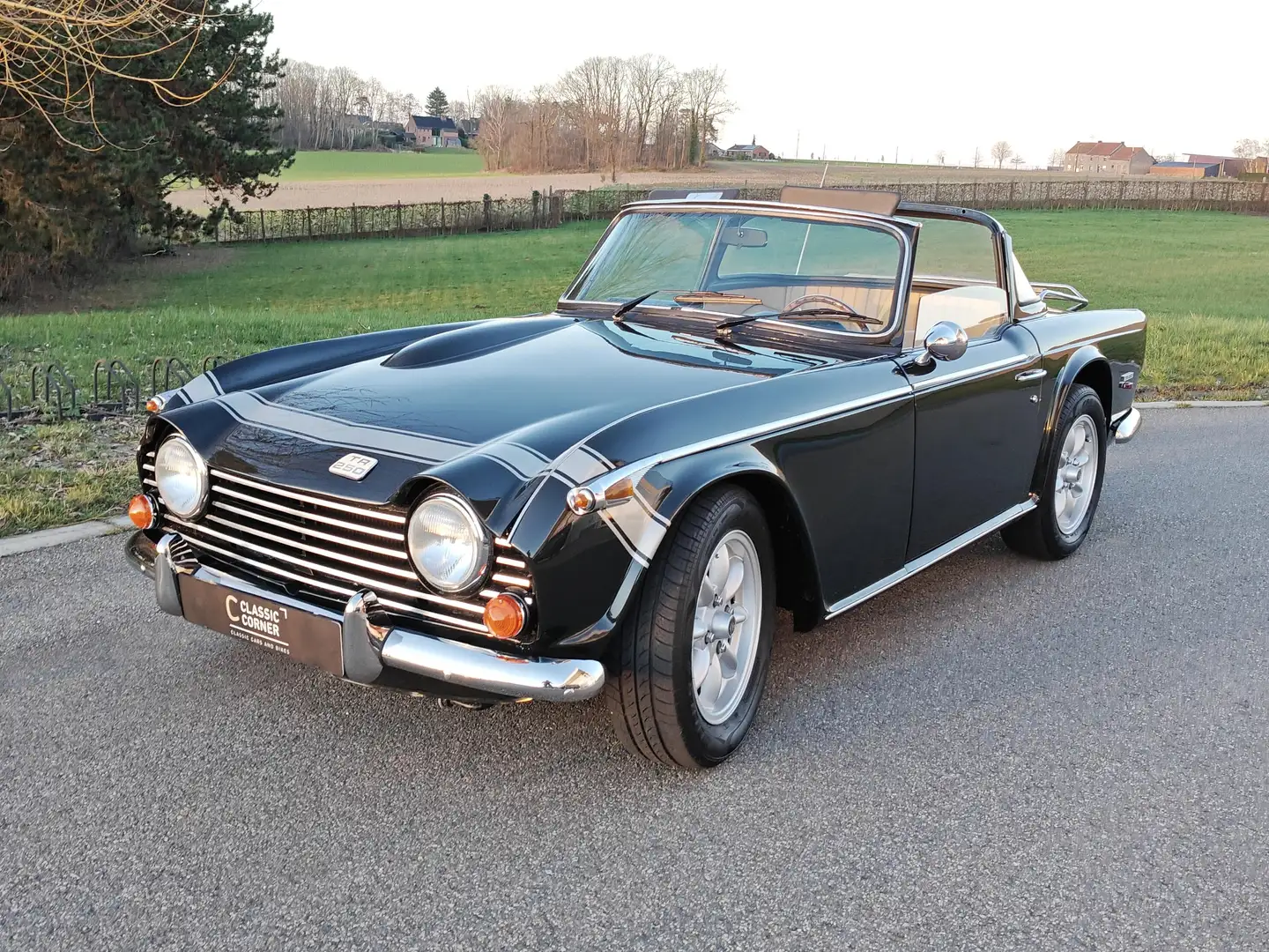 Triumph TR5 TR250 Grün - 1