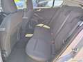 Ford Focus 1.5 EcoBlue 120CV 5p. Business Argento - thumbnail 8