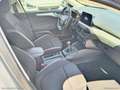 Ford Focus 1.5 EcoBlue 120CV 5p. Business Argento - thumbnail 10