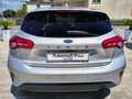 Ford Focus 1.5 EcoBlue 120CV 5p. Business Argento - thumbnail 5