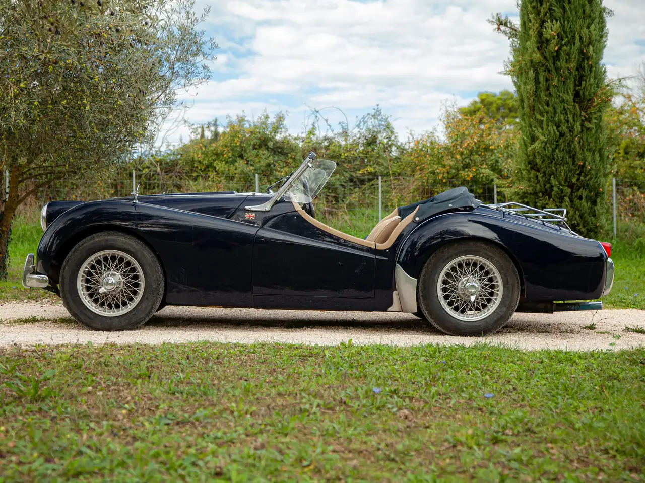 Triumph TR3 Petite bouche, foto 8