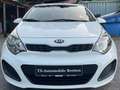Kia Rio Edition 1.Hand,TÜV:1/2027,Klima,8-fach Bereift Weiß - thumbnail 9
