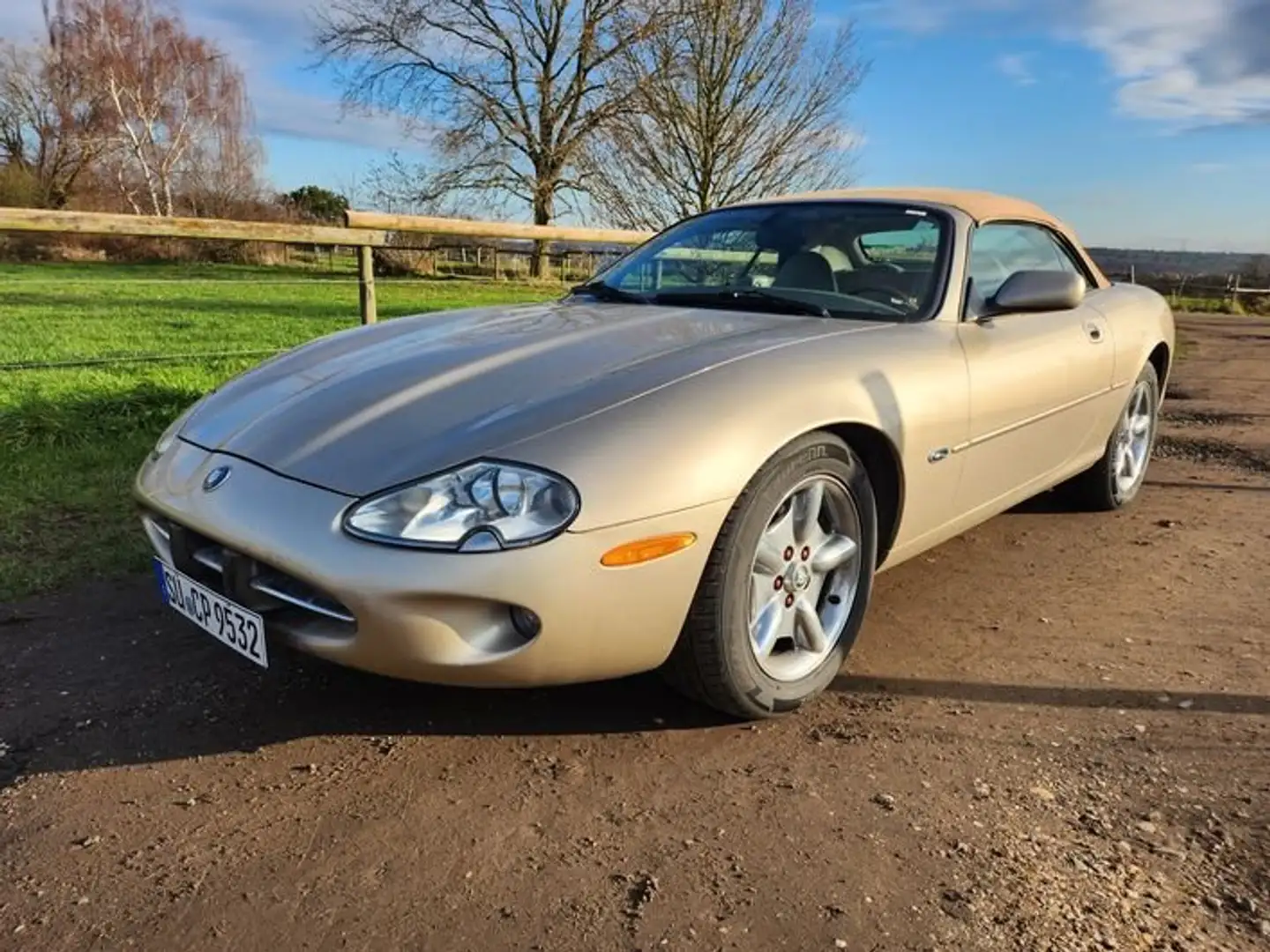 Jaguar XK8 XK8 Cabriolet Bronze - 2