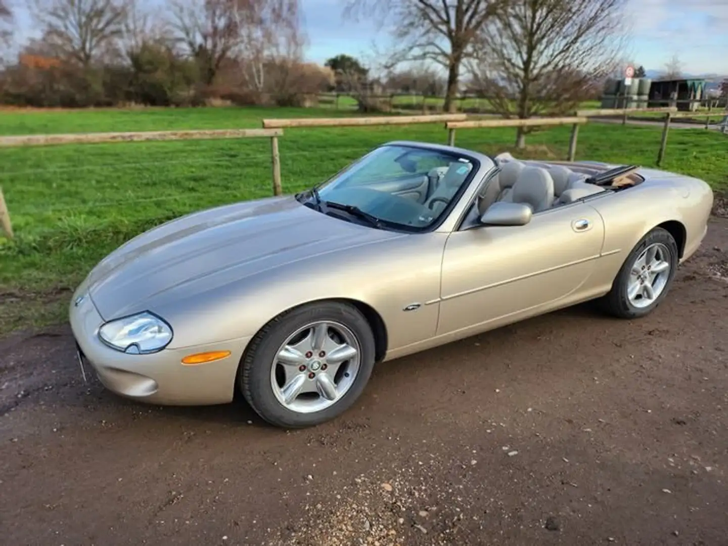 Jaguar XK8 XK8 Cabriolet Bronze - 1