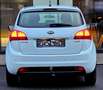 Kia Venga ""Neues Pickerl""Neues Service""Top Zustand"" Weiß - thumbnail 5
