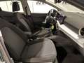 SEAT Ibiza 1.0 TSI S&S Xcellence DSG 115 Verde - thumbnail 6