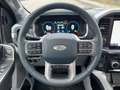 Ford F 150 F-150 Limited Launch Edt. Allrad+AHK+360° Grau - thumbnail 13