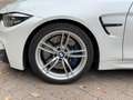 BMW M4 M4 Coupé Pack Compétition - 450 - BV DKG PHASE 2 Weiß - thumbnail 42