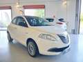 Lancia Ypsilon 1.3JMjt II Platinum Weiß - thumbnail 3