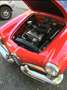 Alfa Romeo Giulia spider 1600 restauro completo Rouge - thumbnail 3