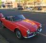 Alfa Romeo Giulia spider 1600 restauro completo Rouge - thumbnail 1