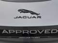 Jaguar F-Type P300 R-Dynamic S Grijs - thumbnail 21