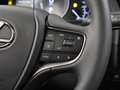Lexus UX 250h Executive Line | Open dak | NETTODEAL Silber - thumbnail 28