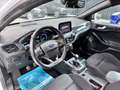 Ford Focus OFFERTA LIMITATA ENTRO 15/12 Benzina ST Line - thumbnail 8