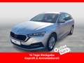 Skoda Octavia 4x4 Ambition TDI DSG Zilver - thumbnail 1