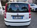 Fiat Panda 1.4 Natural Power Active*NEOPATENTATI Weiß - thumbnail 5