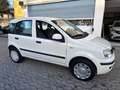 Fiat Panda 1.4 Natural Power Active*NEOPATENTATI Weiß - thumbnail 3