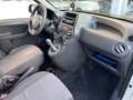 Fiat Panda 1.4 Natural Power Active*NEOPATENTATI Weiß - thumbnail 11